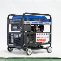 手推小型300A發(fā)電電焊機